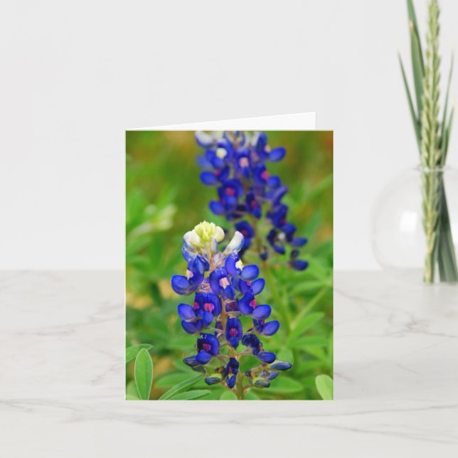 Cartão Texas Bluebonnet Note Card (Frente)