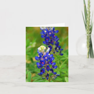 Cartão Texas Bluebonnet Note Card