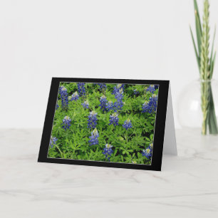 Cartão "Texas Bluebonnets"