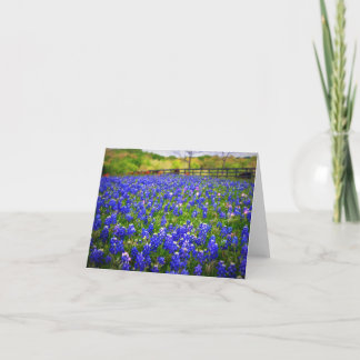 Cartão Texas Bluebonnets