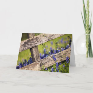 Cartão Texas Bluebonnets Around A Country Fence