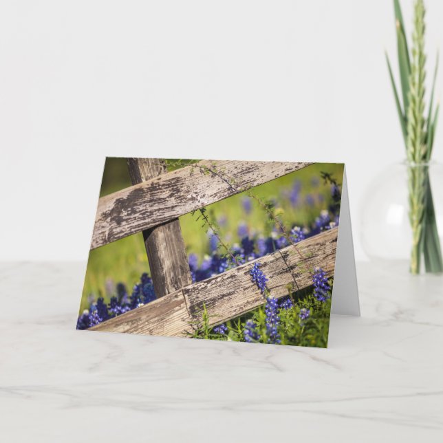 Cartão Texas Bluebonnets Around A Country Fence (Frente)