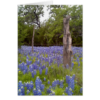 Cartão Texas Bluebonnets e posto da Cerca de Madeira Natu