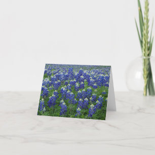 Cartão Texas Bluebonnets Photo Blank