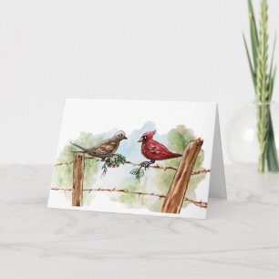 Cartão Texas Cardinal Christmas
