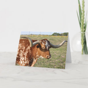 Cartão Texas Longhorn