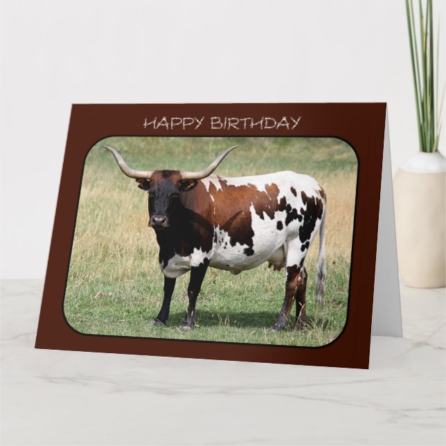 Cartão Texas Longhorn Cow Happy Birthday (Grande Tamanho) (Frente)