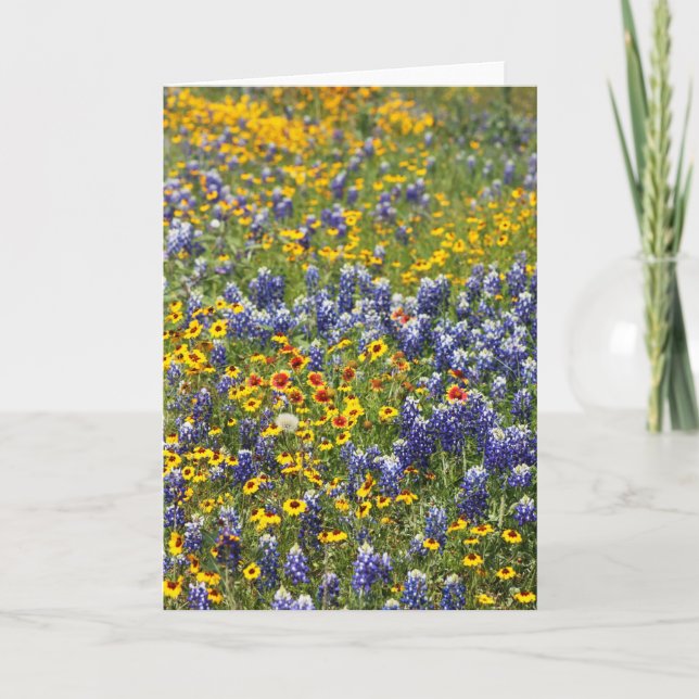 Cartão Texas Wildflowers by Cynthia Wenslow (Frente)