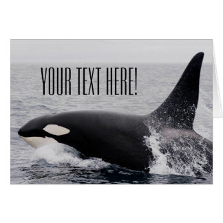 Cartão Texto Personalizado Da Superfície Da Baleia Orca K