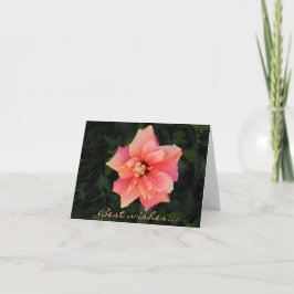 Cartão Texto Personalizado do Flor de Hibiscus Rosa-Suave