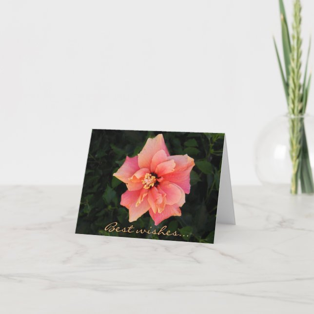 Cartão Texto Personalizado do Flor de Hibiscus Rosa-Suave (Frente)