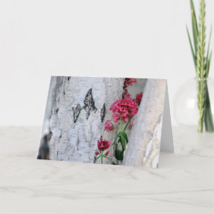 Cartão Textura do Latido da Árvore Birch