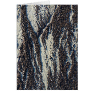 Cartão texturas de praia com algas marinhas