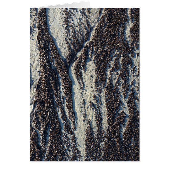 Cartão texturas de praia com algas marinhas (Frente)