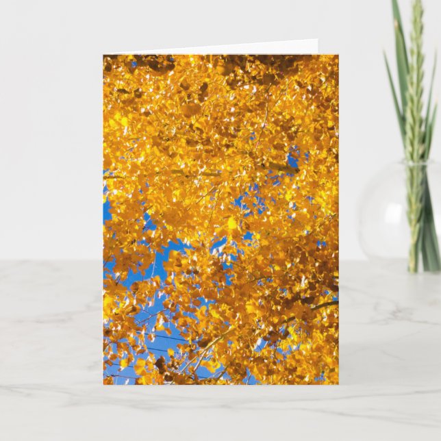 Cartão Texturas SW nº 4 (Frente)