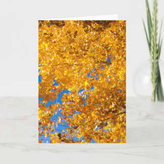 Cartão Texturas SW nº 4