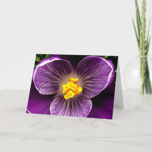 CARTÃO TGK PURPLE CROCUS