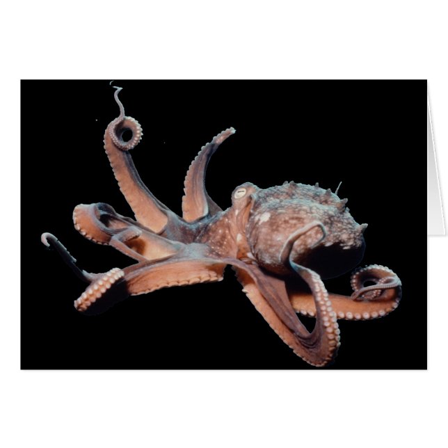 Cartão Thang Polvo-Selvagem (Frente Horizontal)