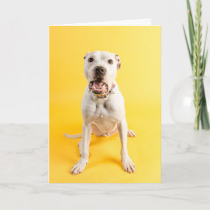 Cartão Thank you card