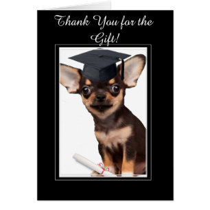 Cartão Thank You for the Graduation Gift Chihuahua card