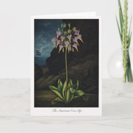 Cartão The American Cow-Slip — Modern Botanical Reinterpr