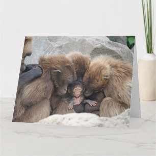 Cartão The Ape Family Card