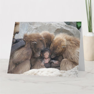Cartão The Ape Family Card