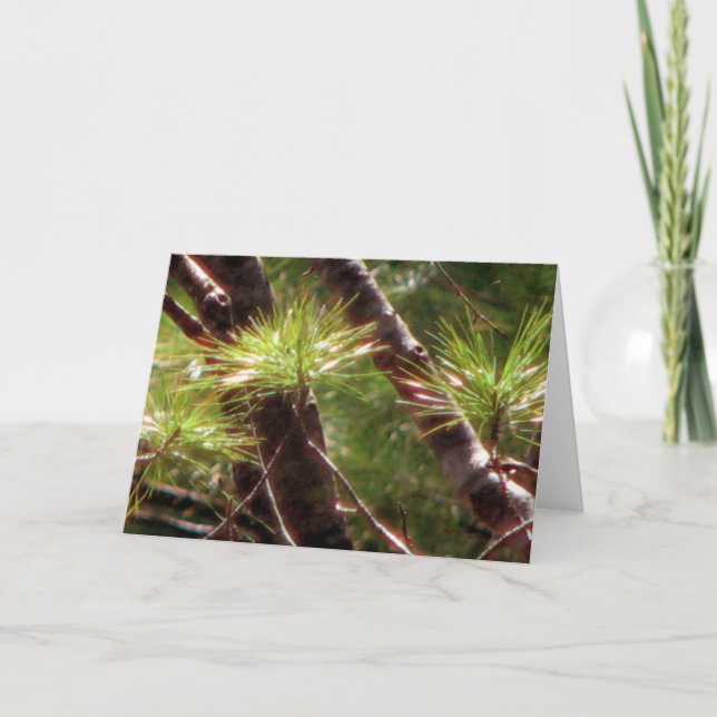 Cartão The Awakened Forest (Frente)