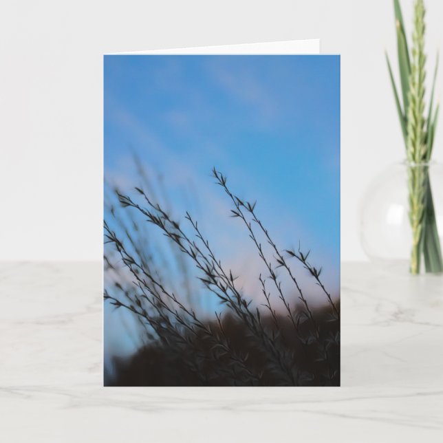 Cartão The Beauty of Simplicity Note Cards (Frente)