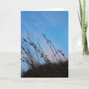 Cartão The Beauty of Simplicity Note Cards
