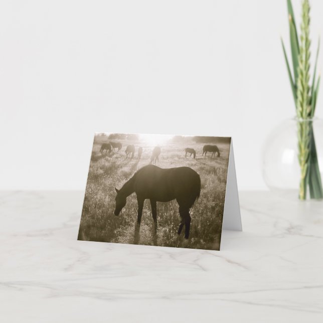 Cartão The Black Hills Wild Horse Sanctuary Notecard (Frente)