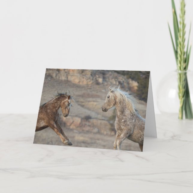 Cartão The Challenge - Galloping to Freedom Greeting Card (Frente)