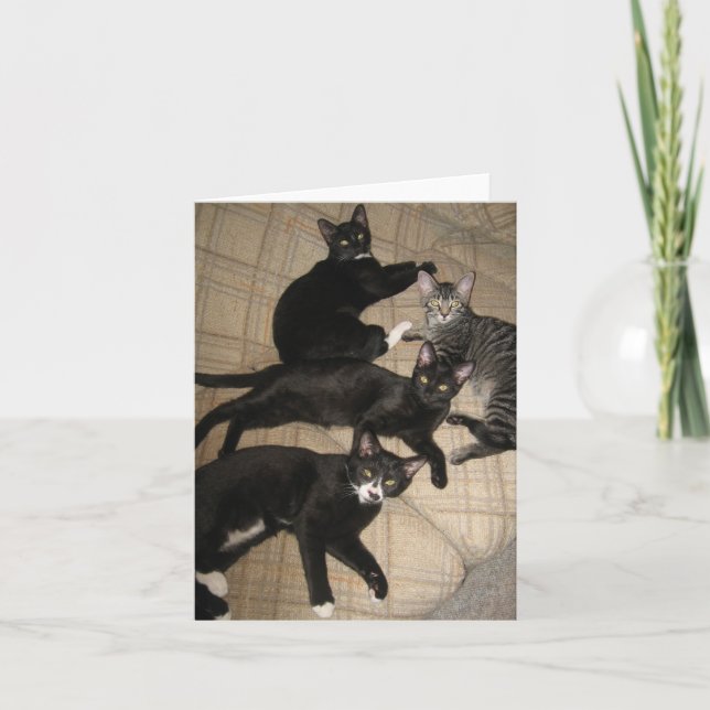 Cartão The Crew Blank Note Card (Frente)