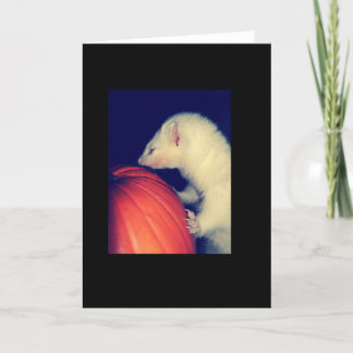 Cartão The Ferret and The Pumpkin