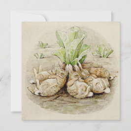Cartão The Flopsy Bunnies Asleep (por Beatrix Potter)