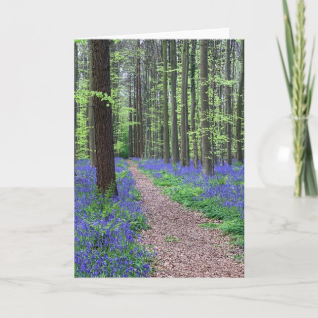 Cartão The Forest of Halle | Halle, Belgium (Frente)