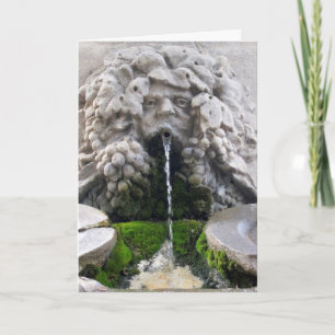 Cartão The Fountain of Youth