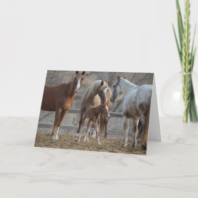 Cartão The Greeting: Galloping to Freedom Greeting Card (Frente)