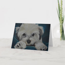 Cartão The Havanese