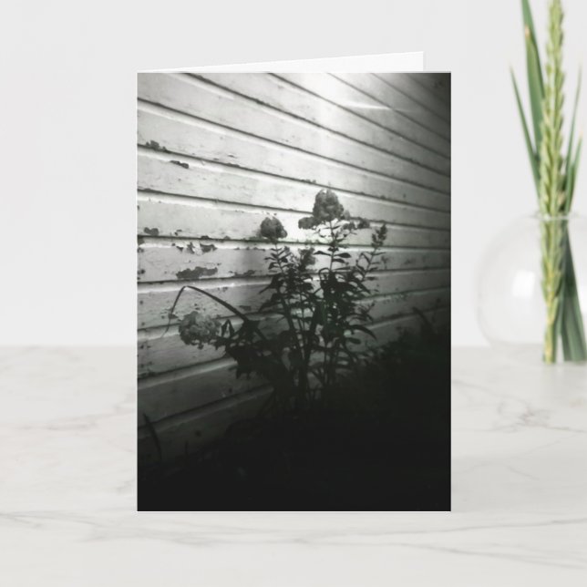 Cartão The heart asks pleasure first (Frente)