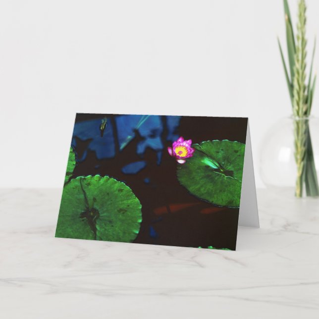 Cartão The Koi (Frente)