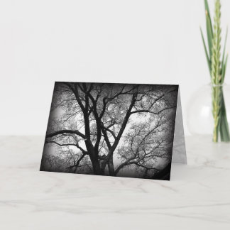 Cartão The Limbs of Nature