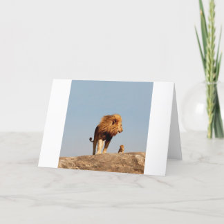 Cartão The Lion King ( Adult Lion and Cub)