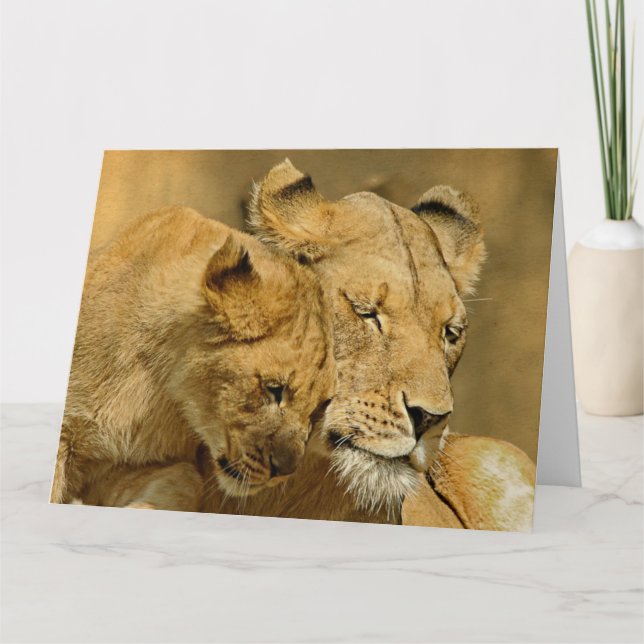 Cartão The Lioness and Cub Card (Frente)