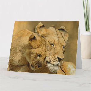 Cartão The Lioness and Cub Card