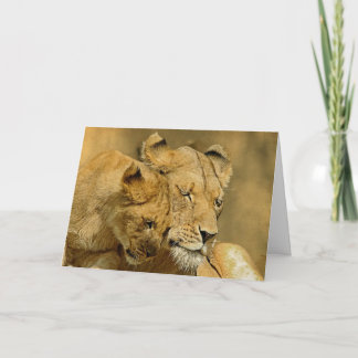 Cartão The Lioness and Cub Card