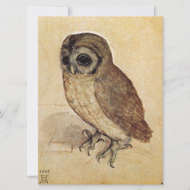 Cartão The Little Owl (por Albrecht Durer) (Frente)