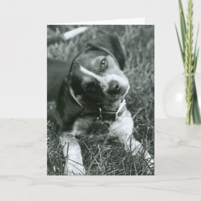 Cartão The Look (Frente)