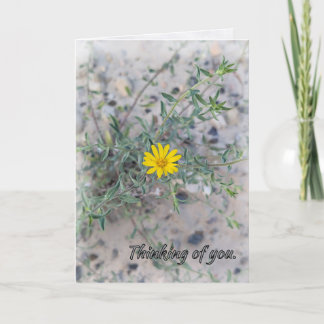 Cartão “The Lord Watches Over You”