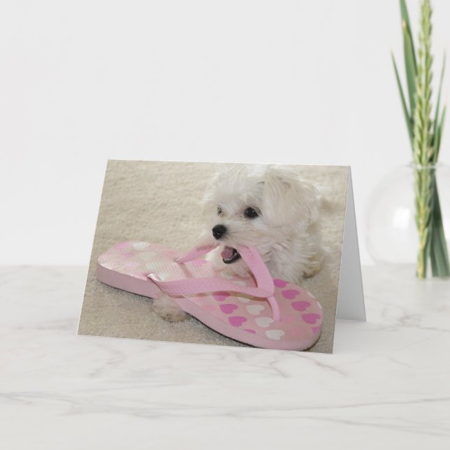 Cartão The love of shoes (Frente)